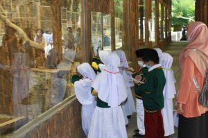 field trip sd i al azhar asy syarif sumut 2